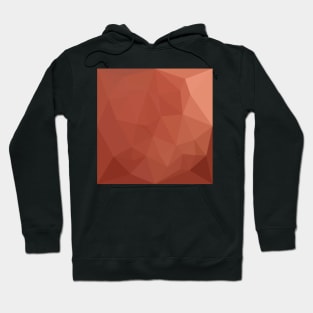 Burnt Sienna Orange Abstract Low Polygon Background Hoodie